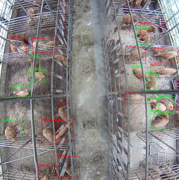 Fattening Management